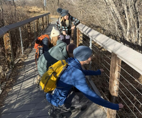 One of my five favorite winter birding hotspots near Denver