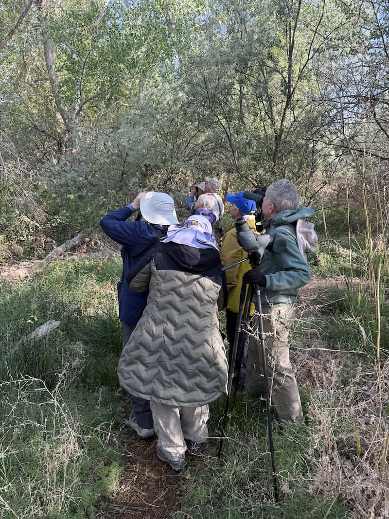 Birding near Lamar Community College