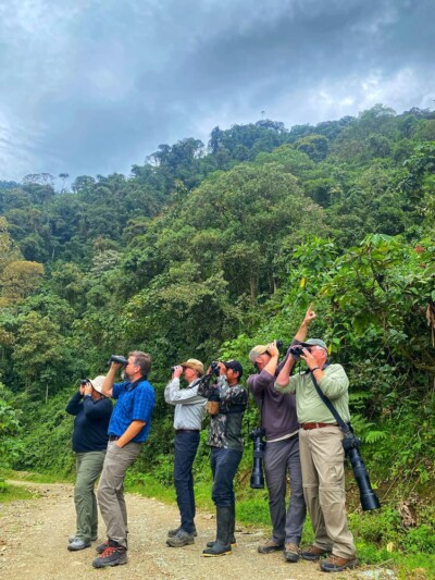 Birding in Ecuador’s Quijos Valley cloudforest with local landowner and conservationist.