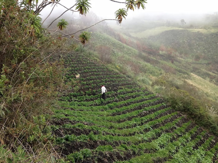 Farms dotted along the landscape