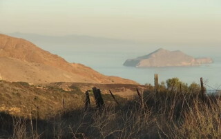 Crawling along the stegosaur's back, a poem about my time on Channel Islands National Park