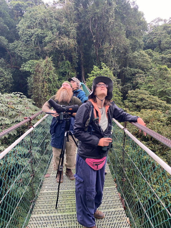 Birding on suspension bridges