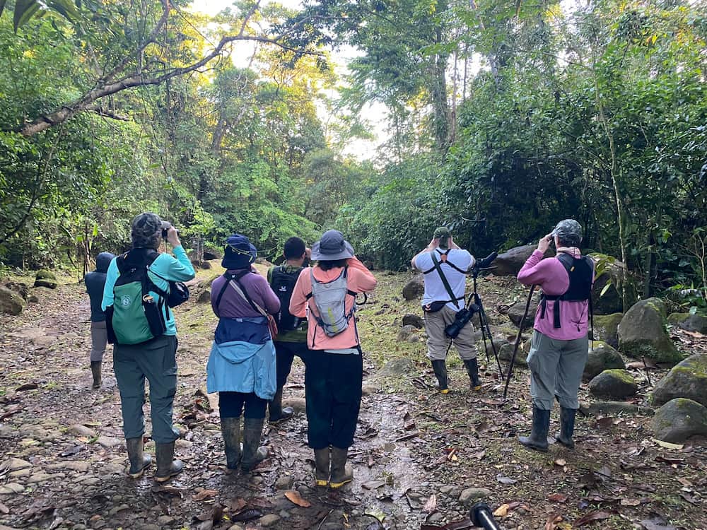 Birding on the Caribbean Slope