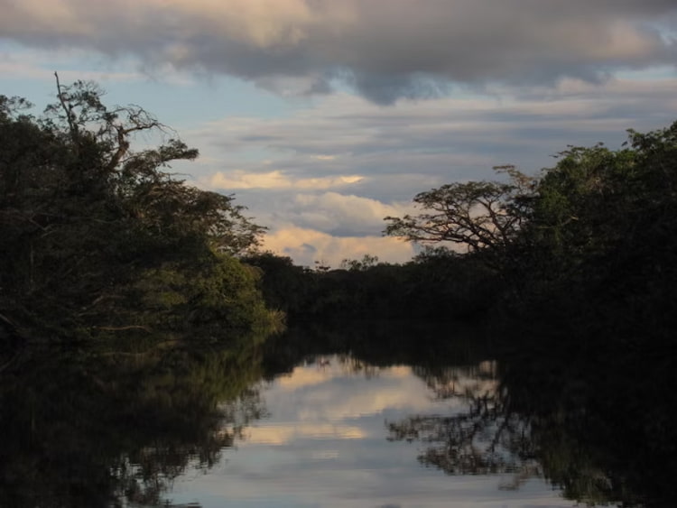 Rio Cuyabeno in the Ecuador Amazon