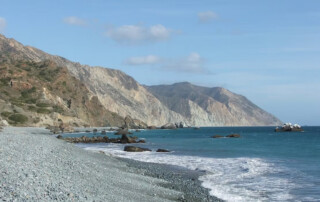 Beach of Catalina Island where conservation of Bald Eagles takes place