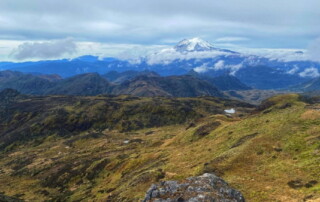 Ecuador Birding Tour Trip Report - October 2024