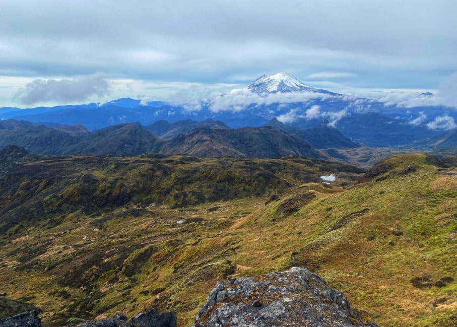 Ecuador Birding Tour Trip Report - October 2024