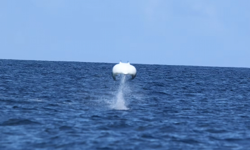 Great manta ray jumping out of the oceans water