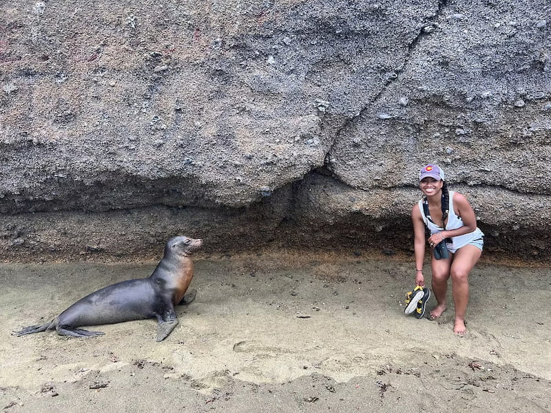Sea lion looking at Angie on the beach