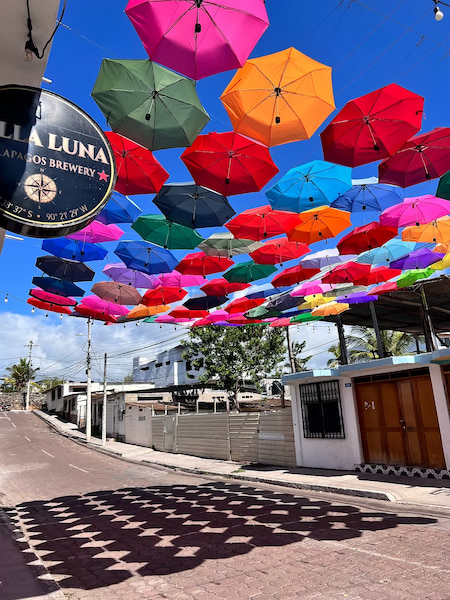Colorful umbrellas decorate Santa Cruz Island