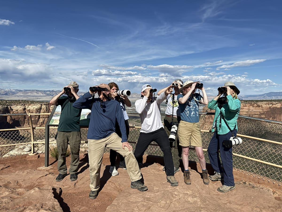 Birding Man group at the Colorado National Monument