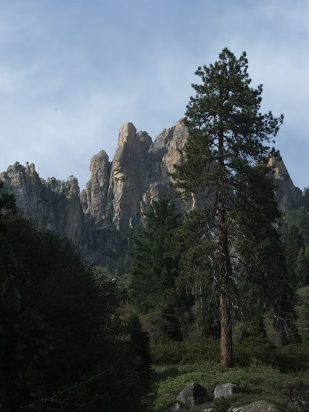 First sight of Sequoia National Park and a massive tree. A shaded Grove