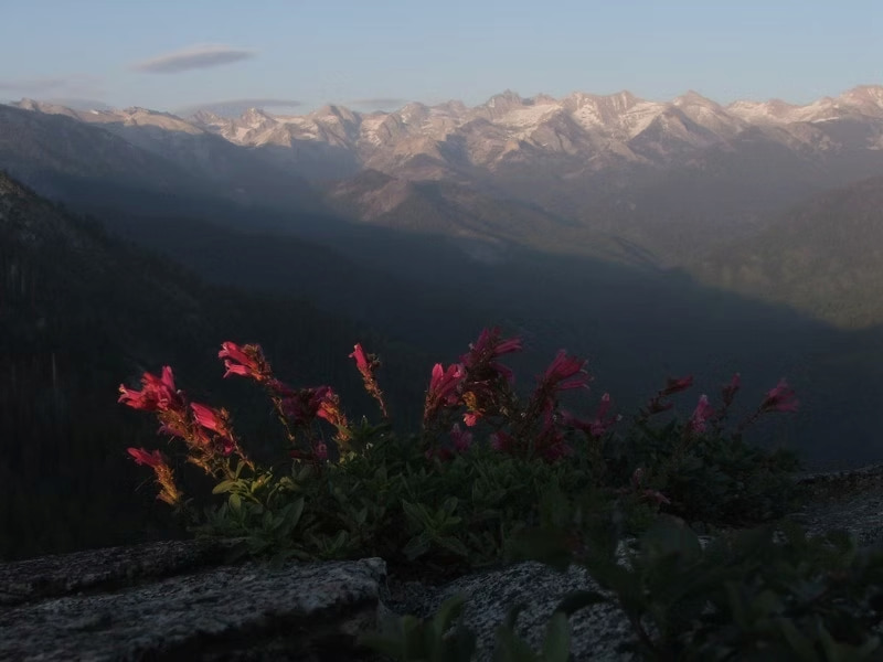 Views of the beautiful Sierra Nevada Mountains