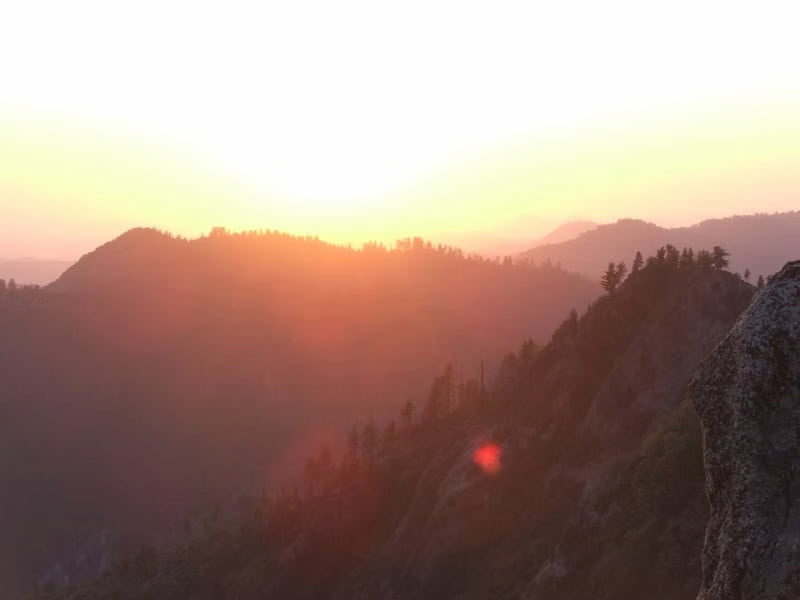 A shaded grove during sunrise at Sequoia National Park