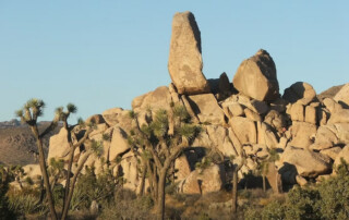 Joshua Tree National Park beautiful view