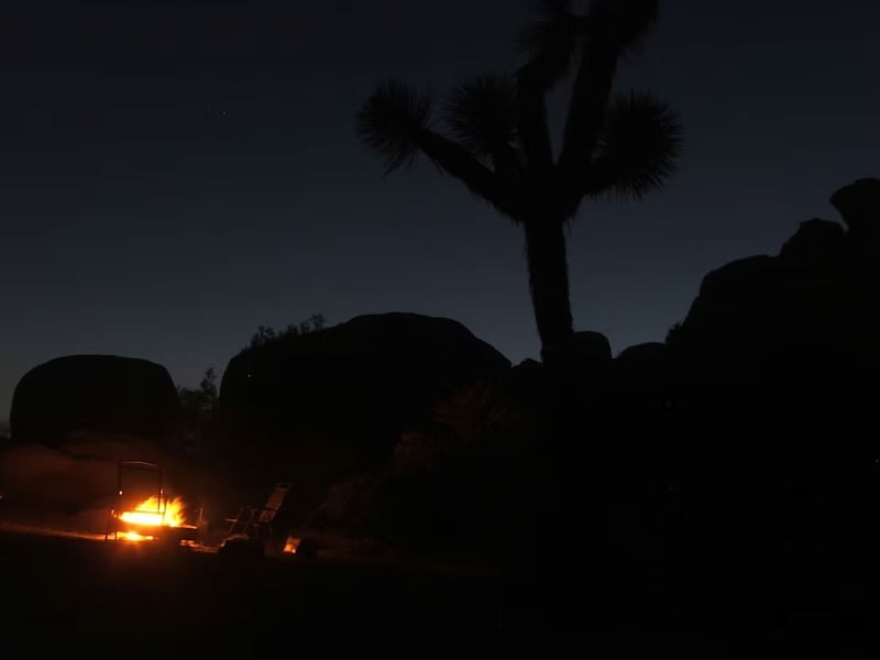 Night time in Joshua Tree