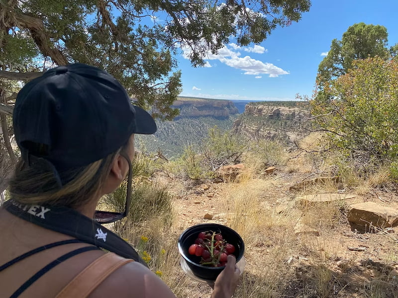 Looking out at Mesa Verde National Park in Colorado