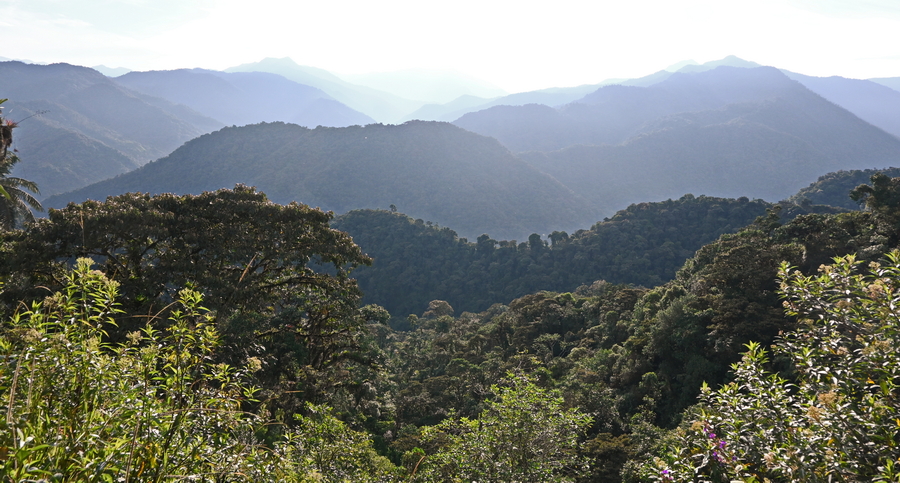 Amazonian foothills in Ecuador