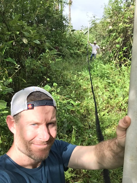 Helping tag birds for conservation