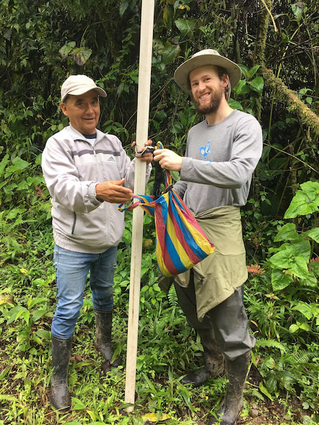 Mist nets for catching & tagging birds
