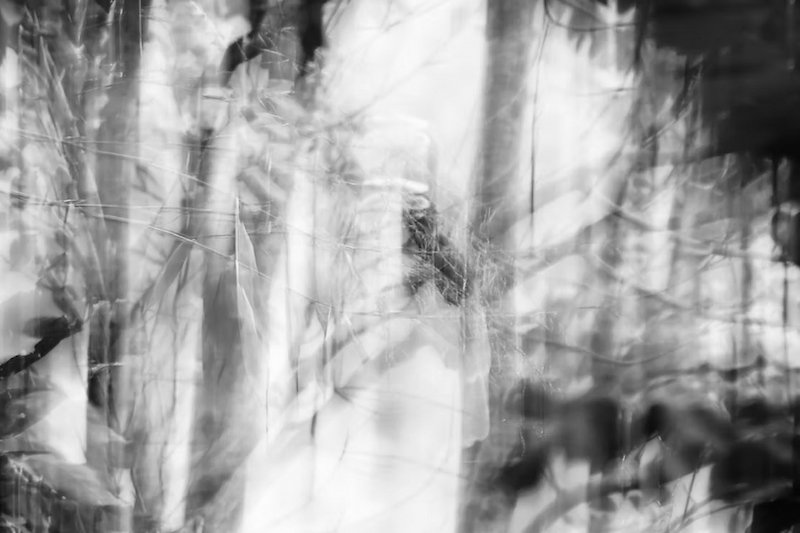 Black and white photography