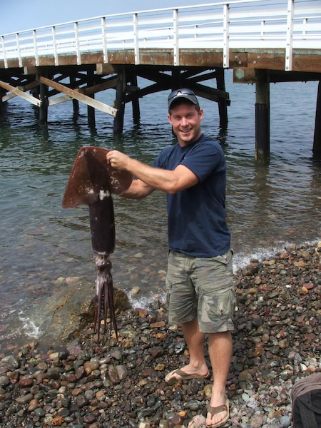 Dead squid in the harbor
