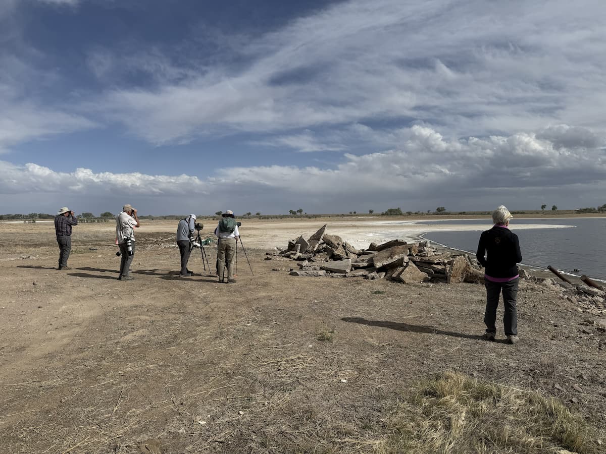 Birding on the Colorado Plains