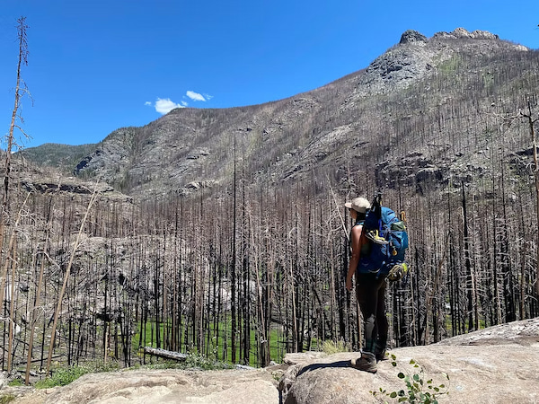 Hiking through the burn scar in Rocky Mountain National Park