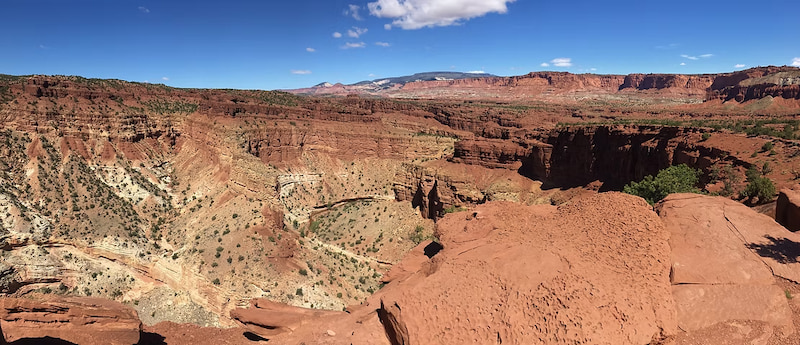 Goosenecks Overlook in the National Park