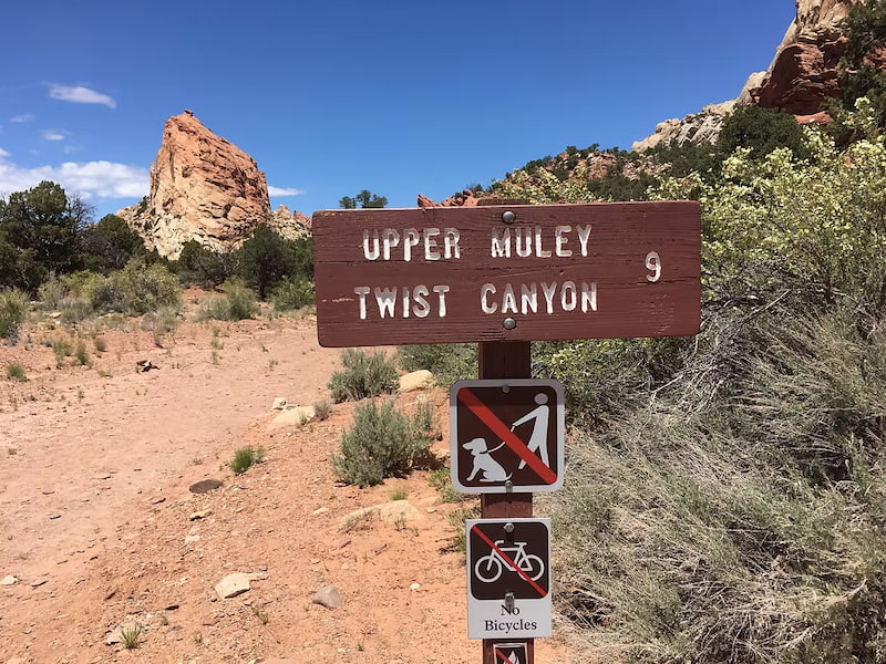 Trail sign for Mulley hike