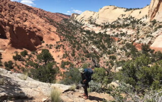 Wanderings of Capitol Reef National Park in Utah