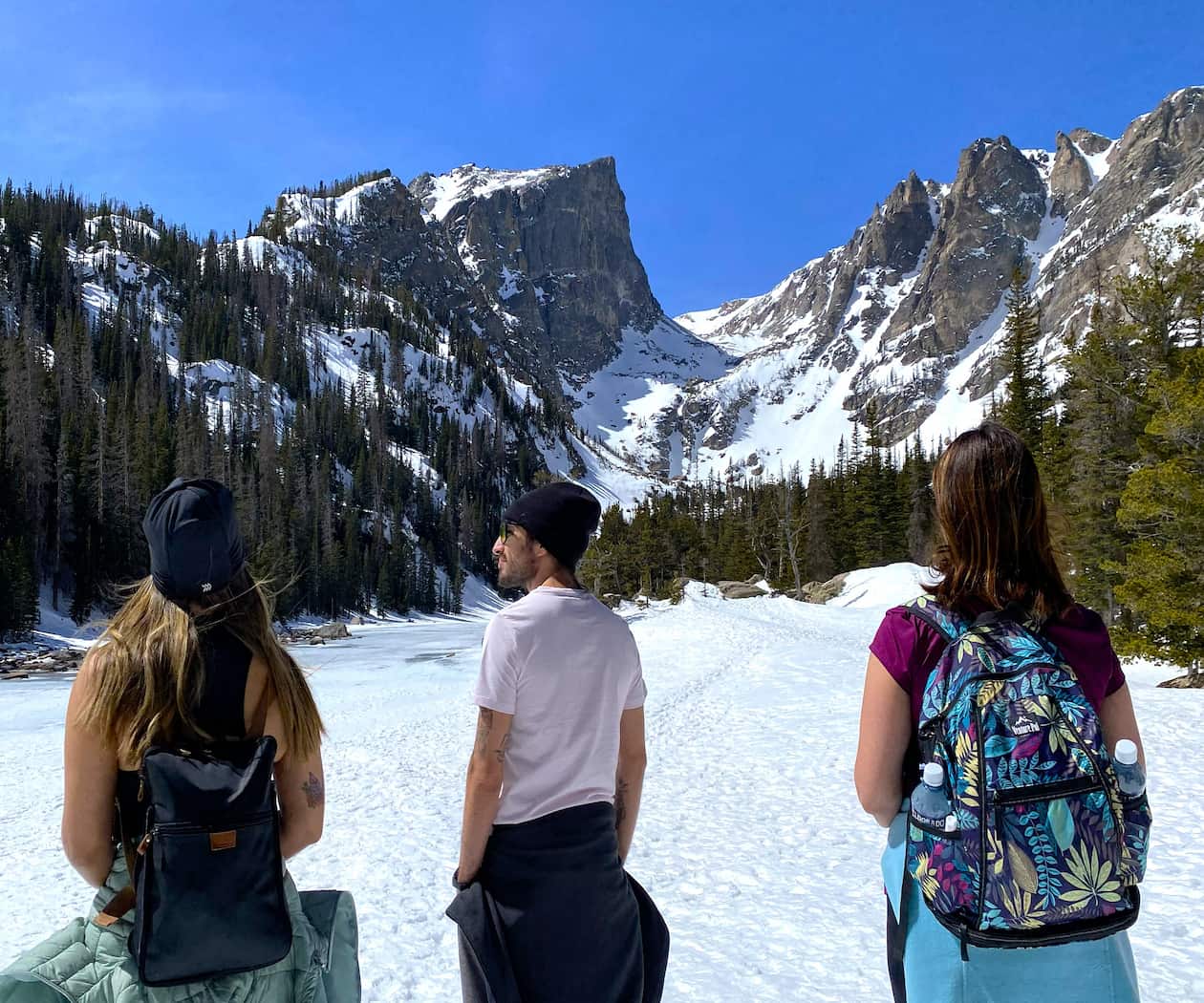 Rocky Mountain NP Hike Guests on a guided birding hike in Rocky Mountain National Park