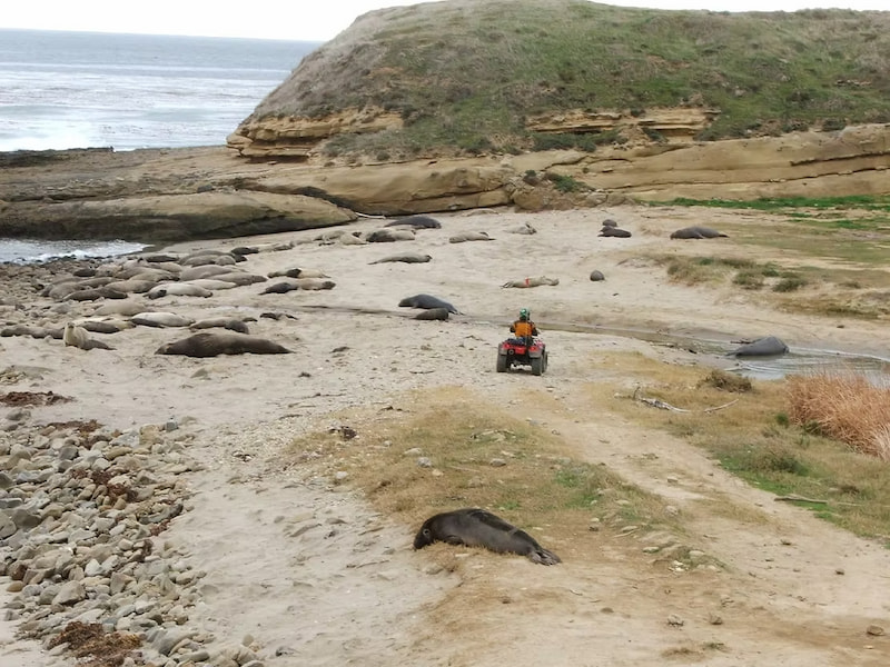 Getting around Santa Rosa Island on ATV