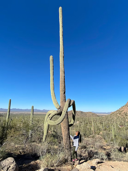 Standing next to a massive Saguaro cactus in the Sonora desert