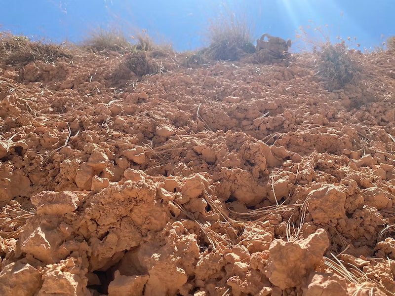These soil mounds are actually created from algae