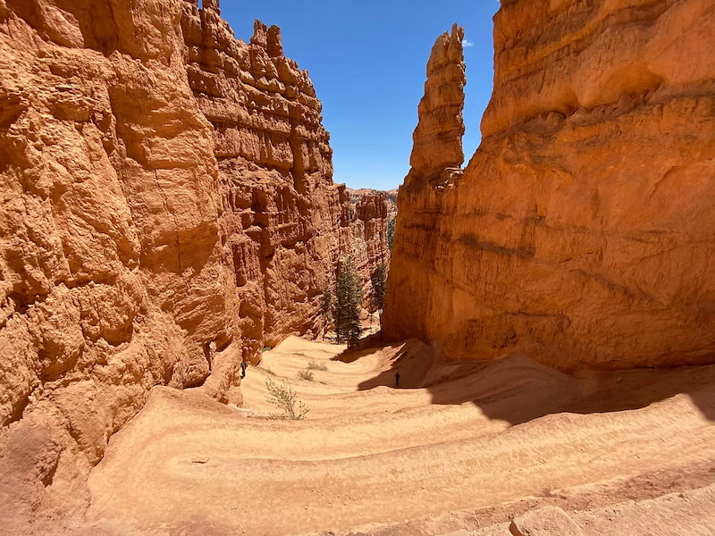 Wall Street section of Bryce Canyon
