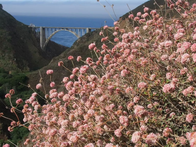 The beauty of Big Sur from the Pacific Coast Highway in California