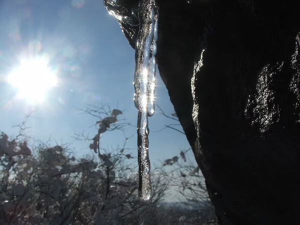 Icicles in the snowy woods of Connecticut