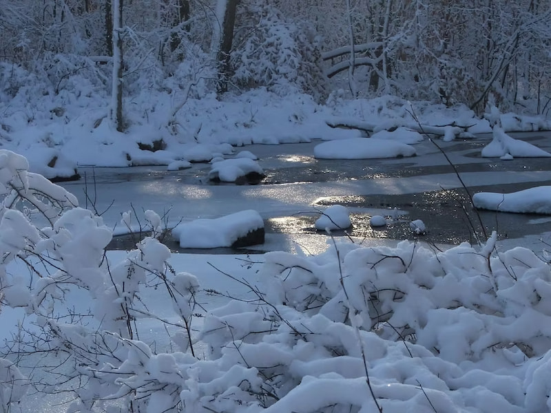 Hiking in the snowy woods of Connecticut