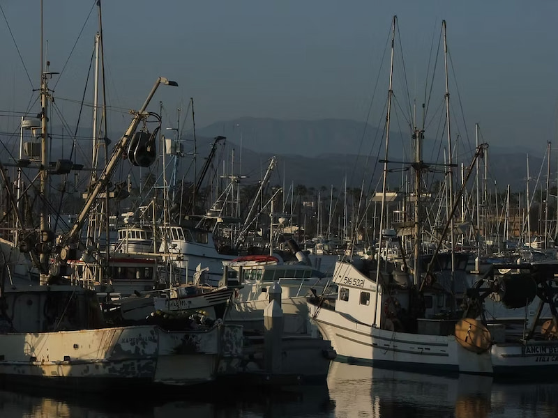 Boats in Ventura harbor