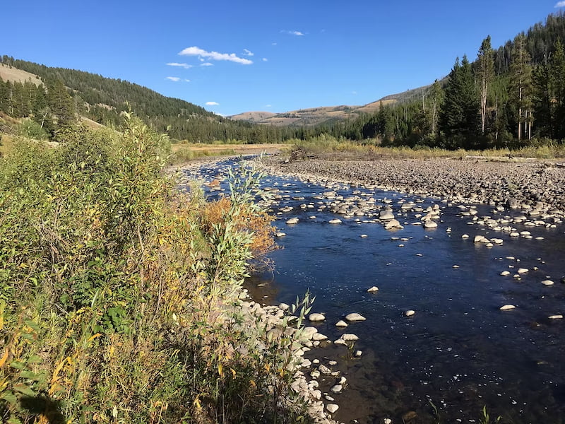 The Lamar River in Yellowstone National Park