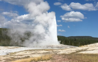 The famous Old Faithful Geyser in Yellowstone National Park