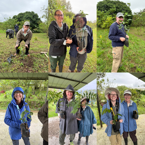Ecuador birding tour guests participating in reforestation activities