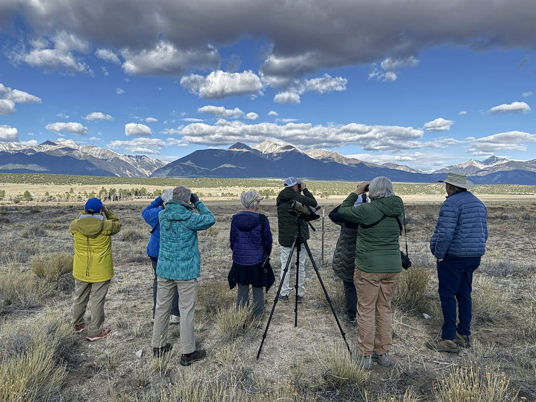 A group birding tour in the Arkansas River valley, Colorado