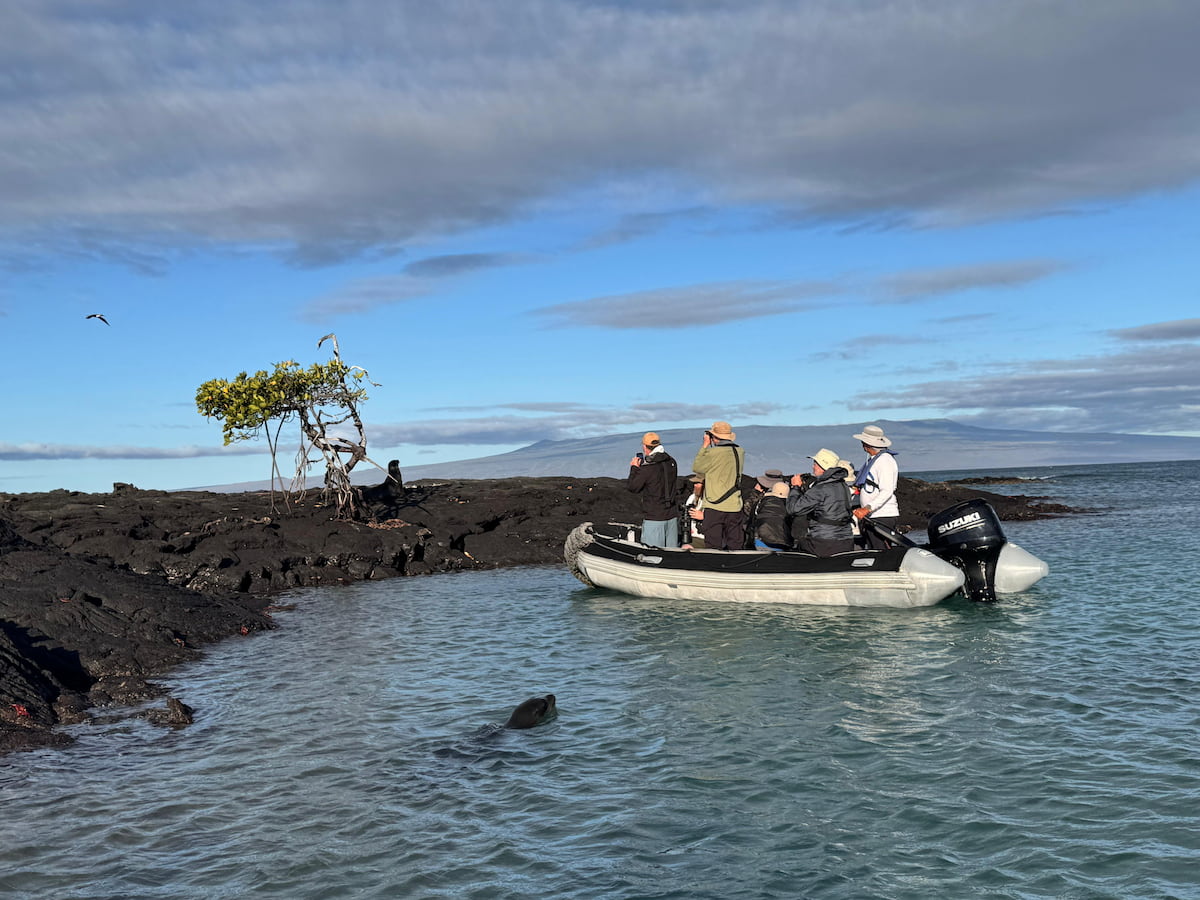 Observing Galapagos wildlife from a zodiac