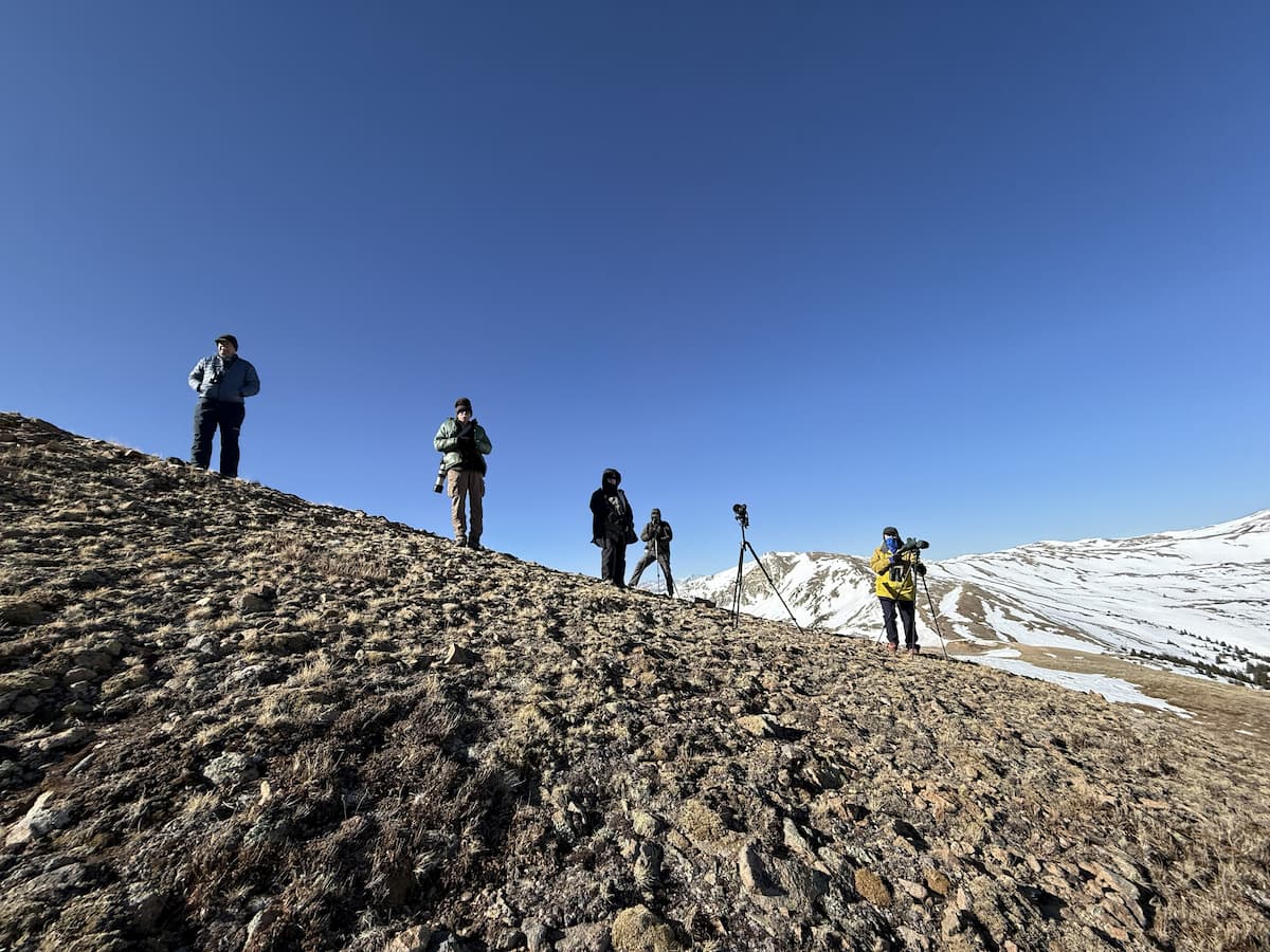 Guests searching for ptarmigan on the ridge