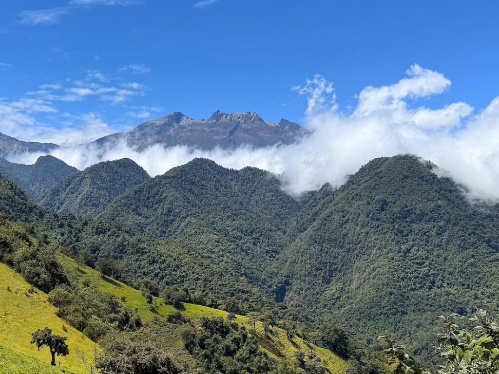 The view from Zuroloma Birding Reserve