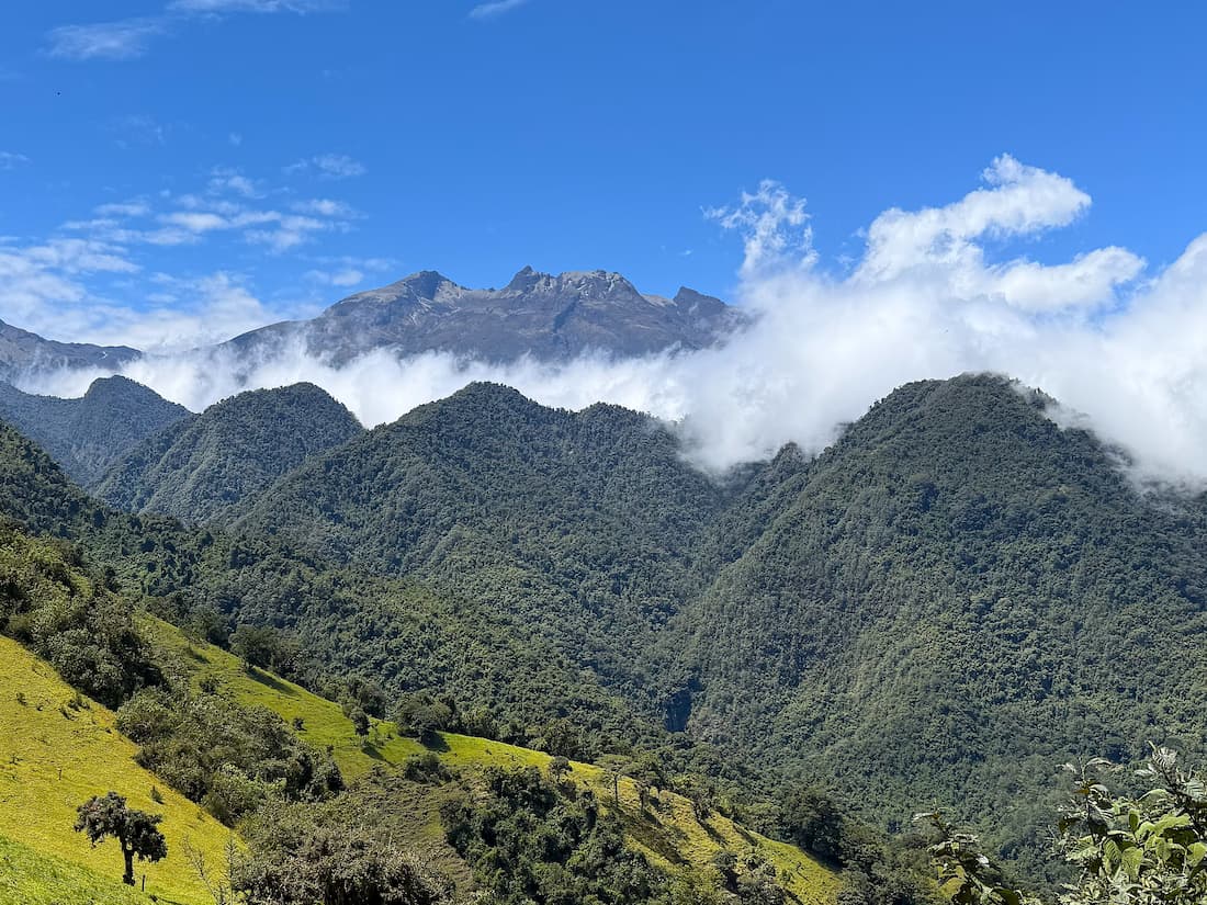 The view from Zuroloma Birding Reserve